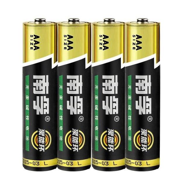 南孚是什么类型电池
