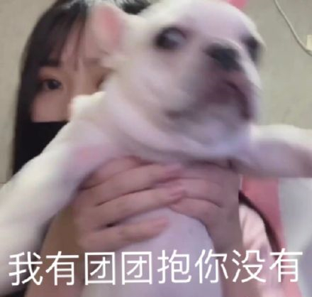 对了,小团团的斗鱼直播间是4615502,目前正在直播,如果没看到,也没