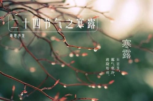 寒露来了,那寒露节气祝福语有哪些呢,海峡网小编为大家整理了一些微信