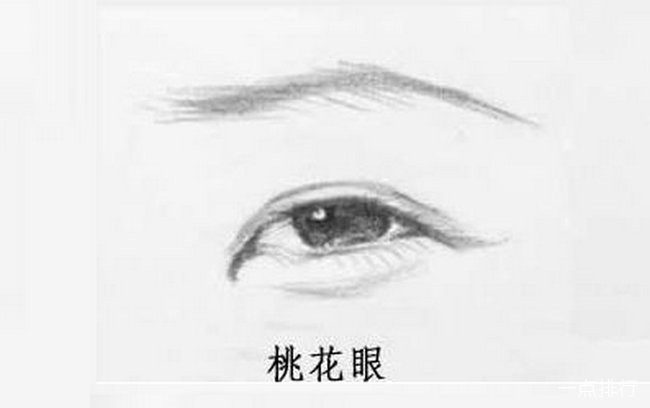 眼角尖尖,眼头略有沟渠,眼尾则上扬的恰到好处,给人一种含情脉脉的