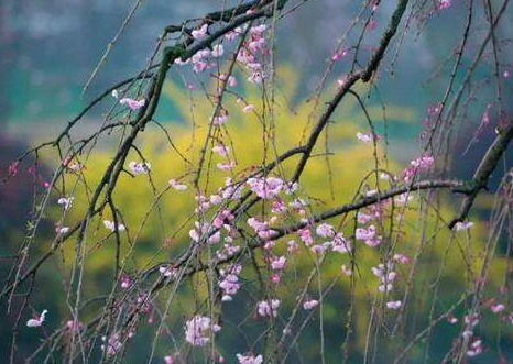 关于元宵节的古诗