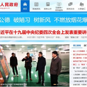 www.wangjiang.gov.cn