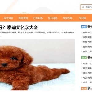 www.cnyry.com