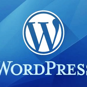 ѡwordpressռ䣬SEO