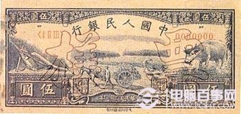 2013出新版人民币吗 2013年新版人民币组图欣赏