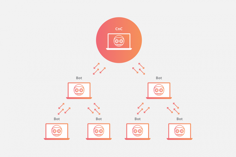 DDoS Botnet
