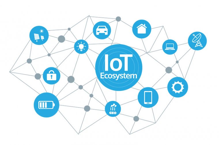 IoT 