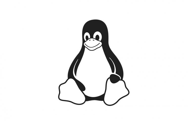 Linux Kernel