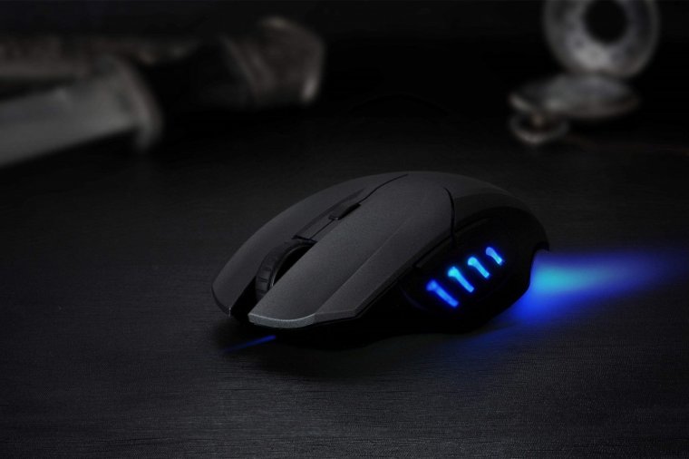 mouse