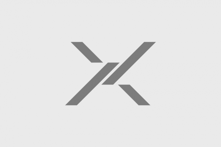 ѩ LOGO X