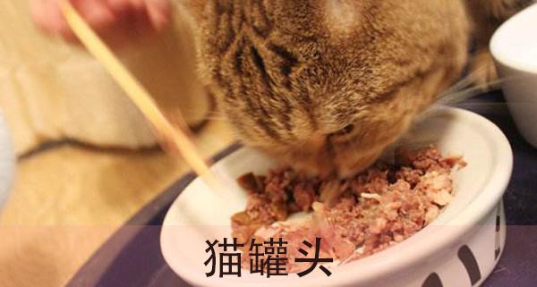 è��ʲô��ã���è�˱ؿ���è����ʳָ��