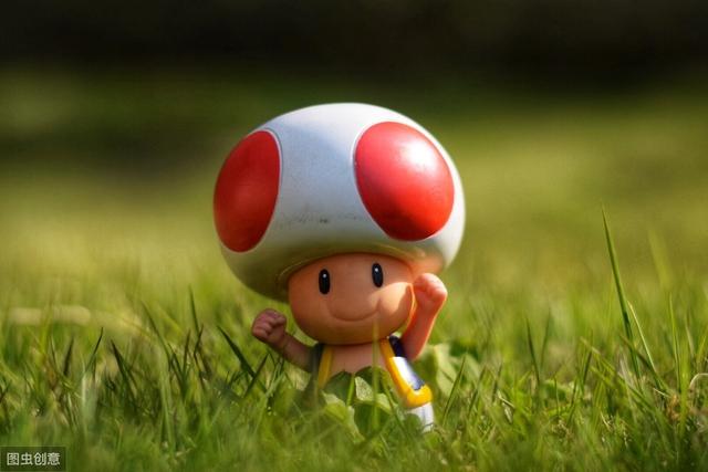 SEO�����Ż� �������վ�����Ż����ؼ����Ż��׵���ѡ