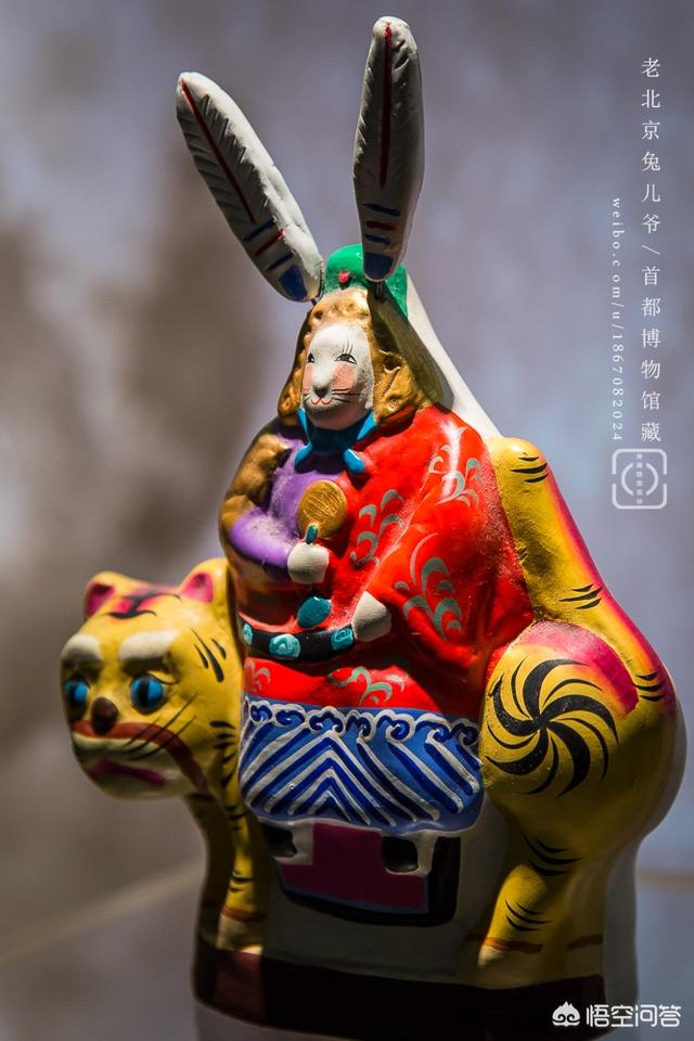 �ϱ���С���Ӷ�ϲ������ү��ʲô������