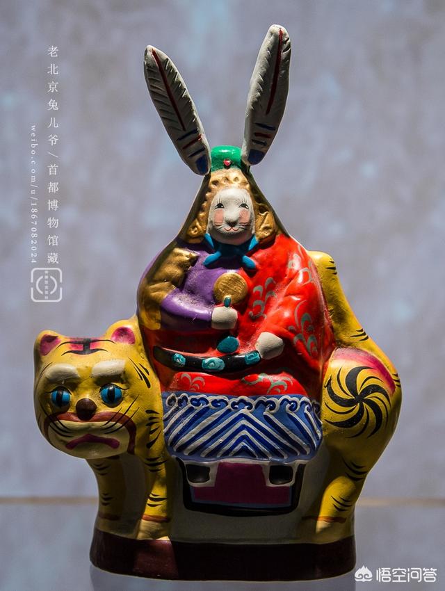 �ϱ���С���Ӷ�ϲ������ү��ʲô������