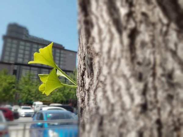 С����A1���� �ܷ�������˫��ʱ����
