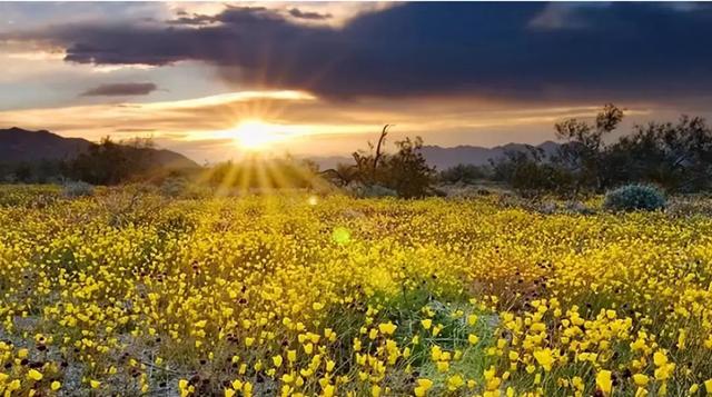 �������˵Ĺ�â������ʲô��Ȧ�ĵģ�