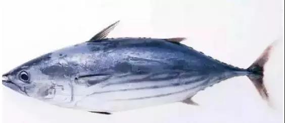 ��ԡ��Իƽ𡱺��Ӹ�������ʮ����㣬����ʶ���֣�