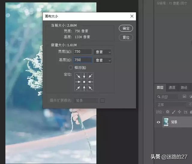 ��Ƭ���ߵ�ʹ�� | �Ź���������ps��