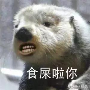 SEO���������Ż��������ص͹�����Ӫ�����ļ���