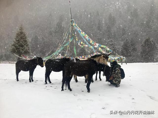 ���жྲ���ж���ۺ����Σ��������
