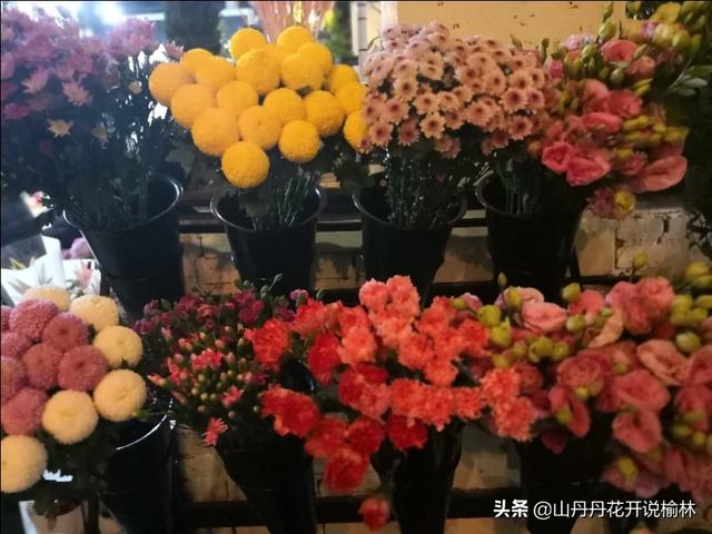 ���жྲ���ж���ۺ����Σ��������
