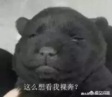 LOL�������Ǳ�����������ʲô��