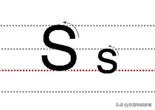 ʮСдĸ淶д!