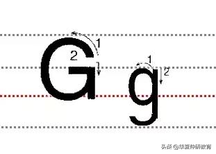 ʮСдĸ淶д!
