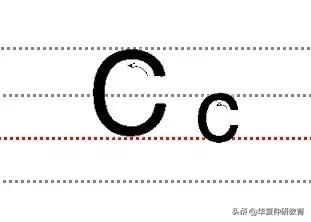ʮСдĸ淶д!
