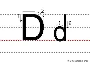 ʮСдĸ淶д!