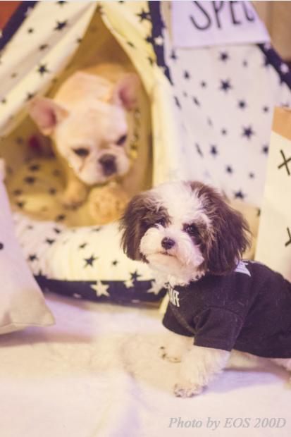 ˲�䲶׽������mini����EOS 200D�ȳ����ռ��ɴ󹫿�