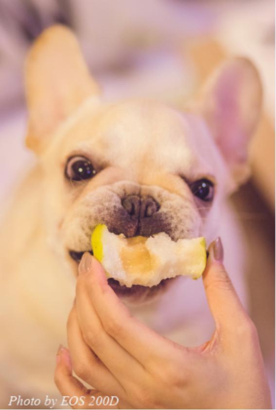 ˲�䲶׽������mini����EOS 200D�ȳ����ռ��ɴ󹫿�