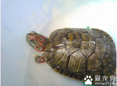 �ڹ���۲���ô�� ������ô�����ڹ���۲�