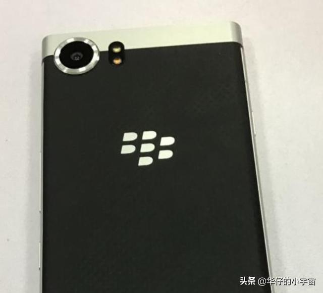 ��ݮ�»���������������Ϳ��Կ����ֻ�����ȱ��