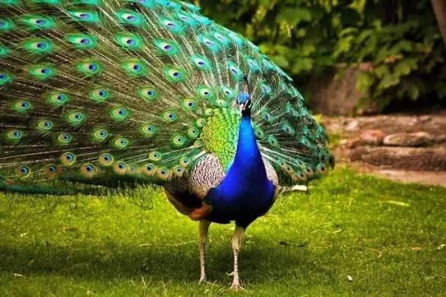 ����ح��ȸ������˲�䣬��������Ϣ����~
