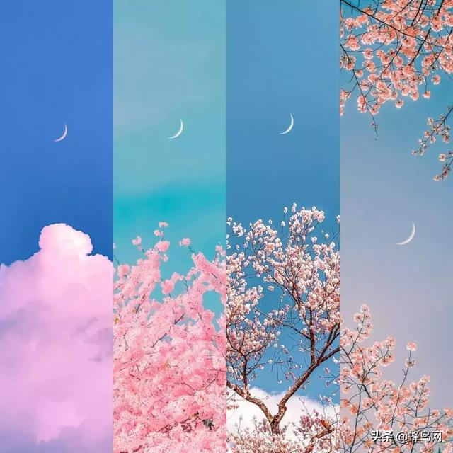 ��ǿ�ֻ�APP��һƪgetƴͼ�Ű��ˮӡȫ������