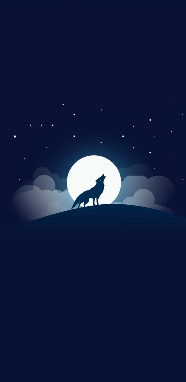 19������Sϵ��18:9����ȫ�����ֻ���ֽ ���ѣ�̫ϲ����