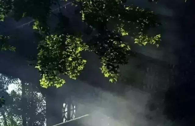 �������ˣ������Ҹ�����