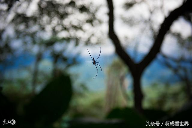 从小到大让你最惊心动魄的一句话是什么,网友的留言真是够奇葩的