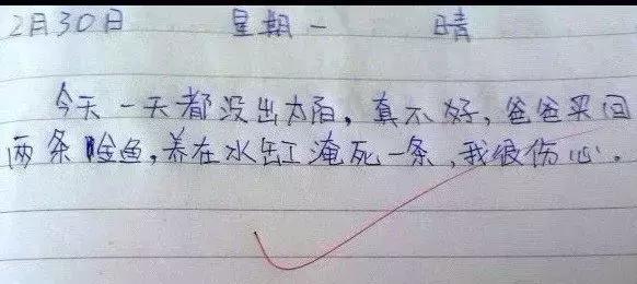 Сѧ��д�ռǵĸ�ʽ+����+���Ĵ�ȫ��̫ʵ����