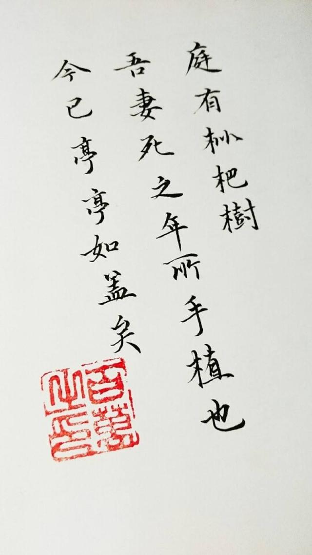 ����д������һ�仰��ʲô��