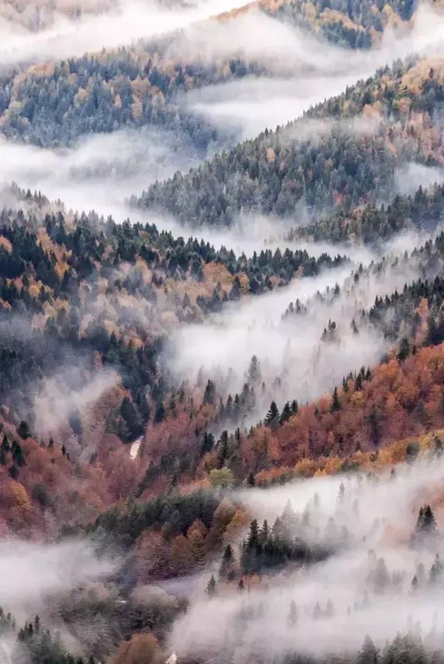 ����ǳ�����ͷ����ȷ�򿪷�ʽ�����ú�����