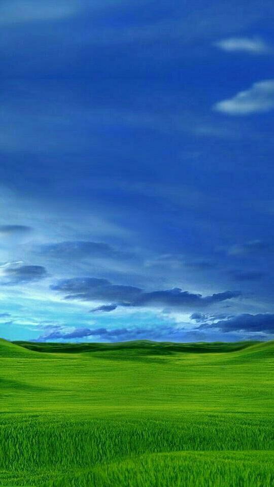 ��ֽһ��*�ʺ�Ư�����ֻ�����ʹ��