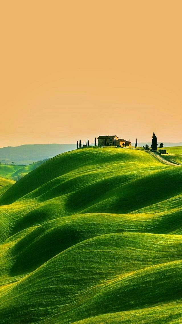 ��ֽһ��*�ʺ�Ư�����ֻ�����ʹ��