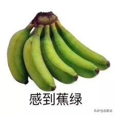 ݣ׷ʽͶ
