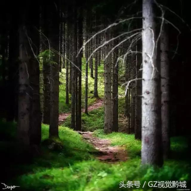 ��������������Ӱ��ΪʲôҪ���ڣ�������18��ͼ������������ʲô