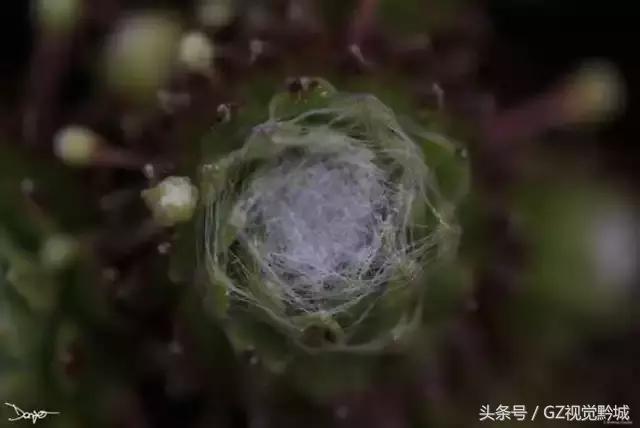 ��������������Ӱ��ΪʲôҪ���ڣ�������18��ͼ������������ʲô
