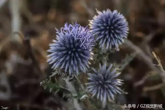 ��������������Ӱ��ΪʲôҪ���ڣ�������18��ͼ������������ʲô