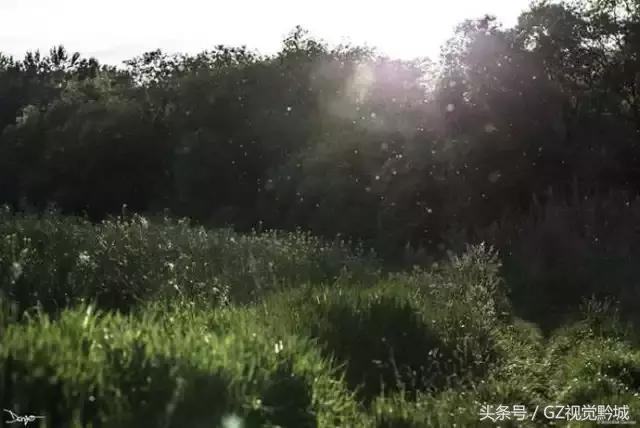 ��������������Ӱ��ΪʲôҪ���ڣ�������18��ͼ������������ʲô