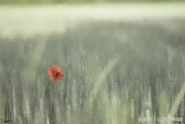 ��������������Ӱ��ΪʲôҪ���ڣ�������18��ͼ������������ʲô